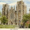 Wells Cathedral