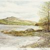 Lake Bala
