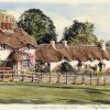 New Forest - Swan Green