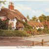 New Forest - Swan Green (2)