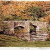 Fingle Bridge