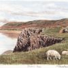 Rhossili Bay