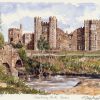 Cowdray Park Ruins